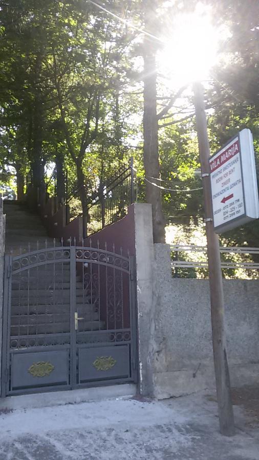Appartement Marija - Teo